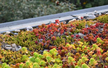 the cost of Hackney green roof installation