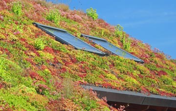 Hackney living roof systems