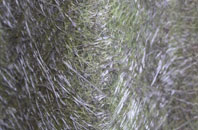 Hackney fibreglass roof work